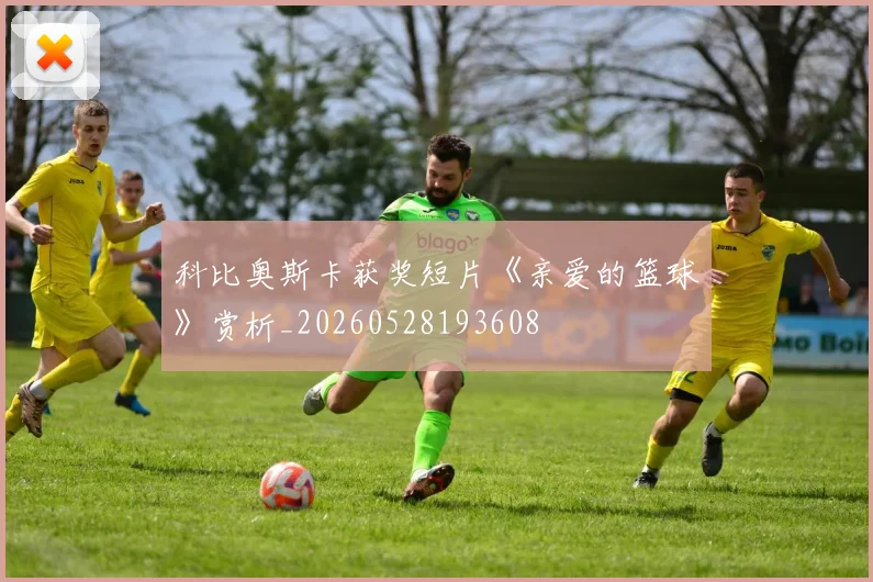 科比奥斯卡获奖短片《亲爱的篮球》赏析_20260528193608