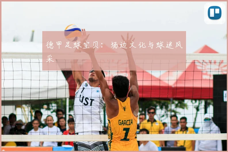 德甲足球宝贝：场边文化与球迷风采
